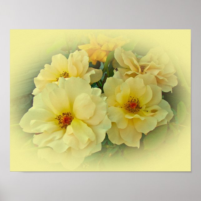 Yellow Roses Poster (Front)
