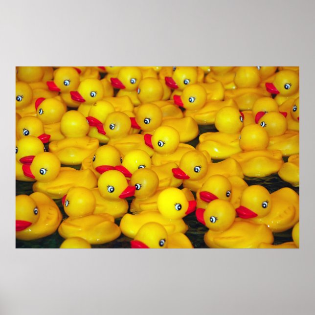 Yellow rubber duckies print poster (Front)