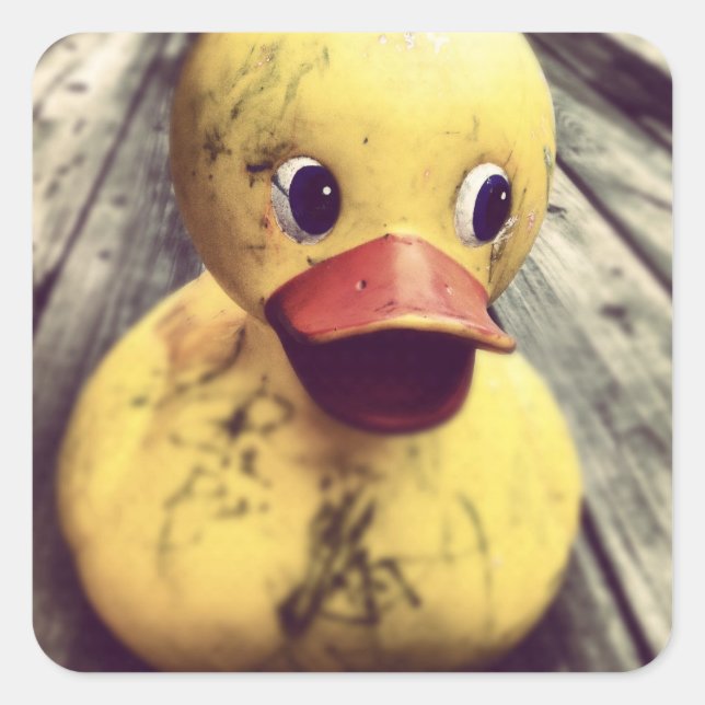 Yellow Rubber Ducky Needs a Bath! Square Sticker (Front)