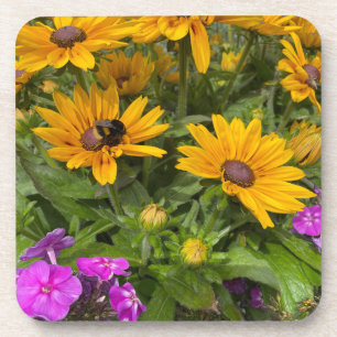  Yellow Rudbeckia Flowers Pink Phlox and Bee  Coaster