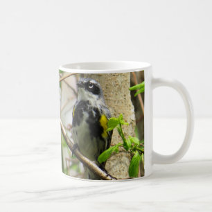 Yellow-rumped Warbler Coffee Mug