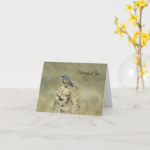 Yellow-Rumped Warbler - Thinking of You Card