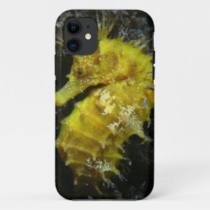 Yellow Seahorse Hippocampus Guttulatus iPhone 11 Case