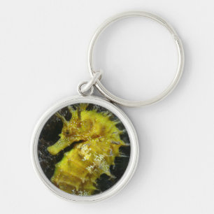 Yellow Seahorse Hippocampus Guttulatus Key Ring