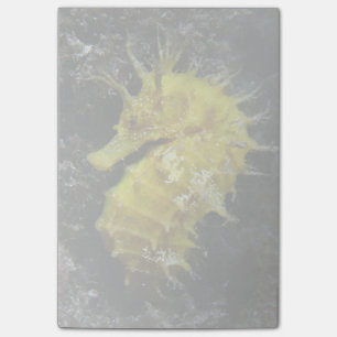 Yellow Seahorse Hippocampus Guttulatus Post-it Notes