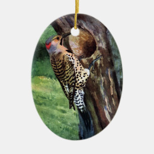 Yellow-shafted Flicker and Tree Cavity Ceramic Tree Decoration
