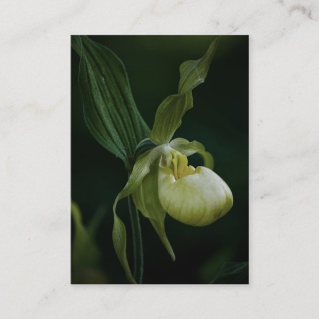 Yellow Slipper Mini Print Business Card (Front)