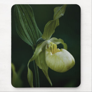 Yellow Slipper Mousepad