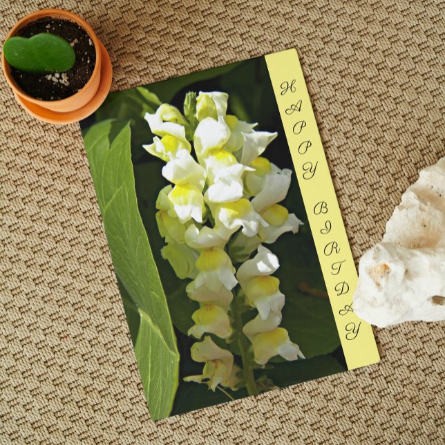 Yellow Snapdragons Floral Birthday Card (In Situ)