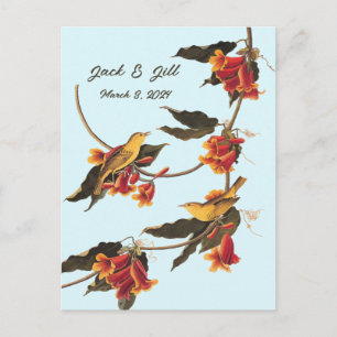 Yellow songbirds on Crossvine Postcard