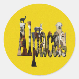 Yellow Speckled Alpaca Design, Classic Round Sticker