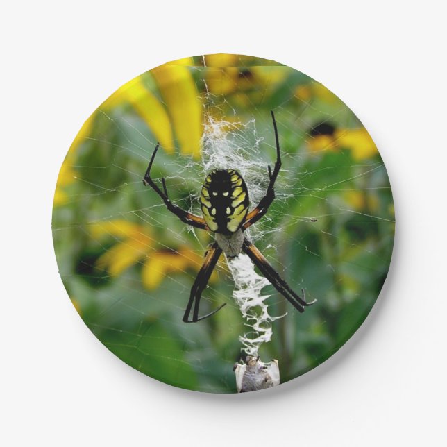 Yellow Spider Paper Plate (Front)