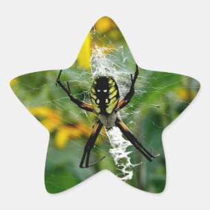 Yellow Spider Star Sticker