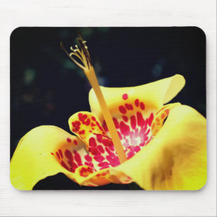 Yellow Spotted Lily Flower Mouse Pad