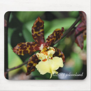 Yellow Spotted Orchid from Gardenfest 2011 Mouse Pad