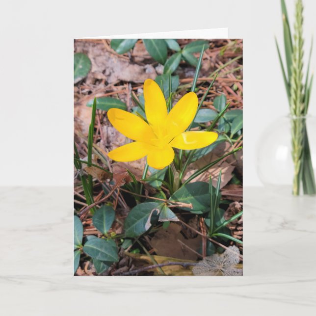 Yellow Spring Crocus Thinking of You Card (Front)