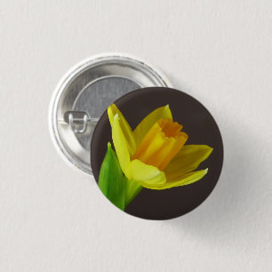Yellow Spring Daffodil Flower Closeup 3 Cm Round Badge