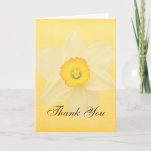 Yellow Spring Daffodil Flower Thank You Card