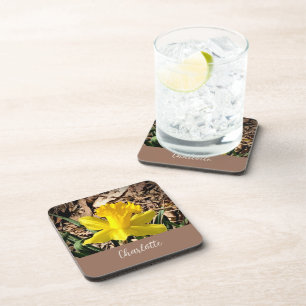 Yellow Spring Daffodil in the Garden Custom Name   Coaster