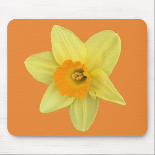 Yellow Spring Daffodil Mouse Pad