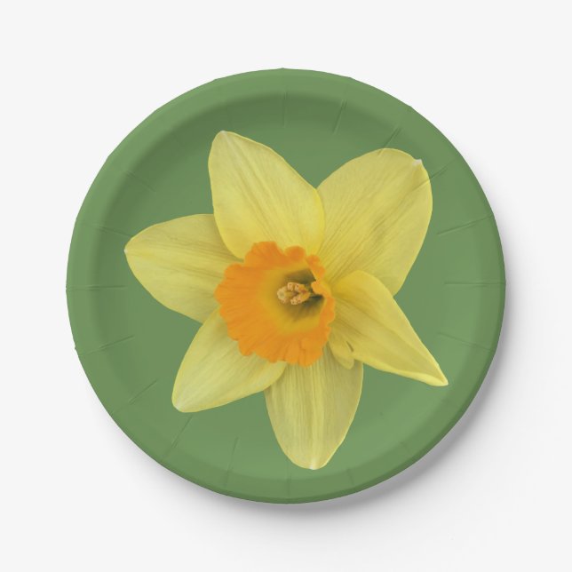 Yellow Spring Daffodil Paper Plate (Front)