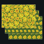 Yellow Spring Daffodil - Wedding Wrapping Paper Sheet<br><div class="desc">A bright and cheerful floral pattern depicting the daffodil, a classic spring flower associated with rebirth and new beginnings. The perfect theme for a spring wedding consisting of yellow daffodils in full bloom arranged on a garden green background. Text is in a script style, golden yellow in color and is...</div>