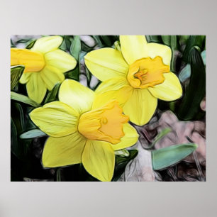 Yellow Spring Daffodils Poster