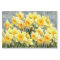 Yellow Spring Daffodils Rustic