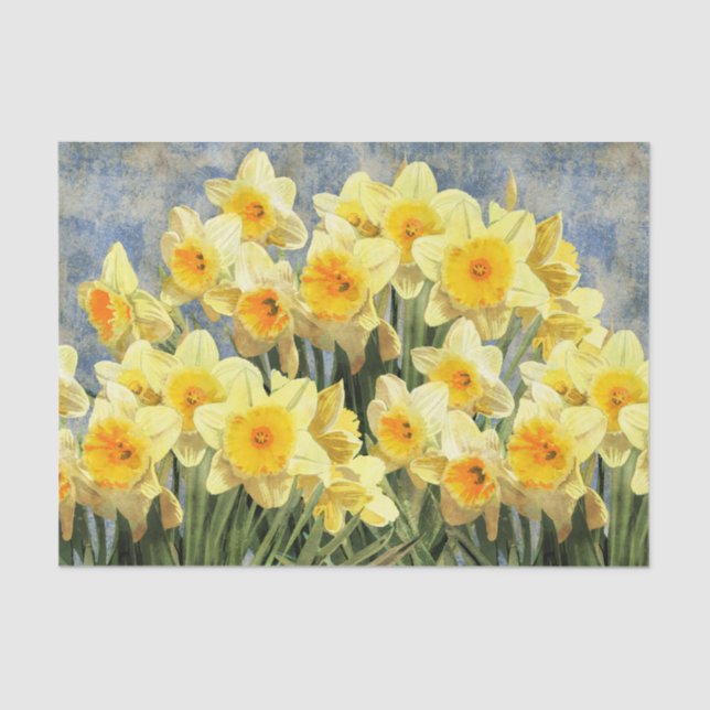 Yellow Spring Daffodils Rustic Tissue Paper (Front)