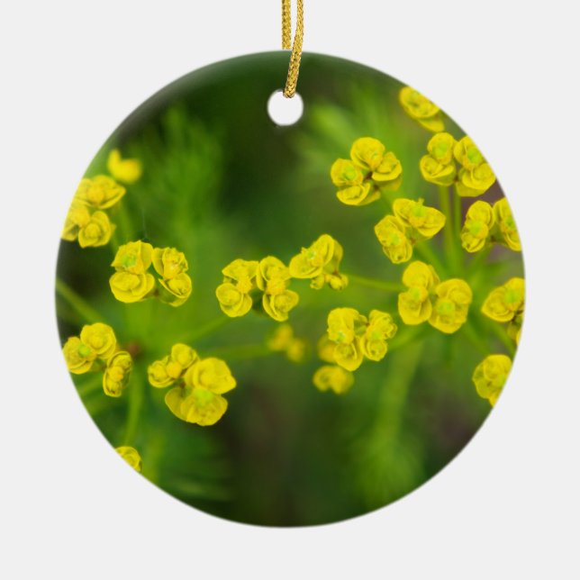Yellow Spring Flowers Ceramic Ornament (Front)