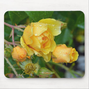 Yellow spring roses print mousepad