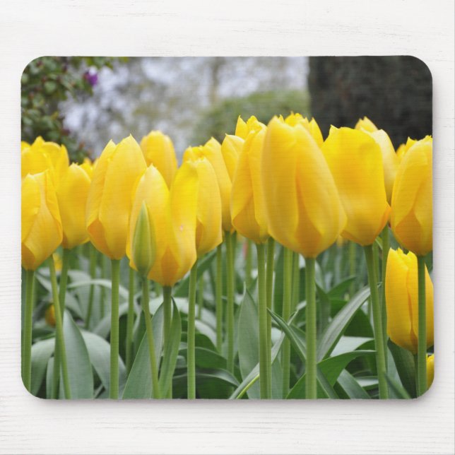 Yellow spring tulips mouse pad (Front)