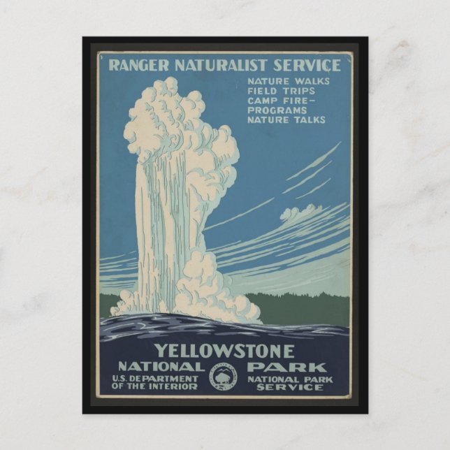 Yellow Stone National Park Postcard (Front)