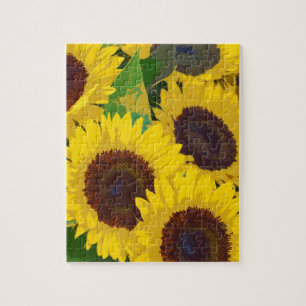 Yellow summer sunflowers jigsaw puzzle