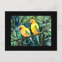 Yellow sun conures,bird friends