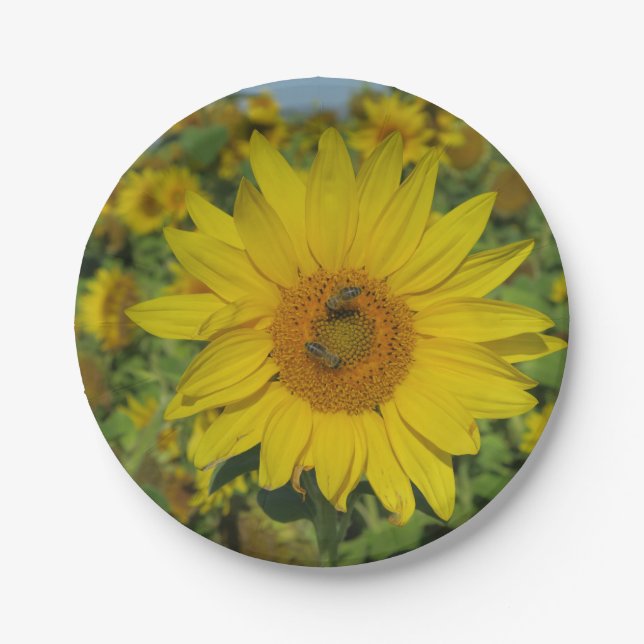 yellow sund flower blossom paper plate (Front)