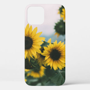 YELLOW SUNDLOWERS iPhone 12 CASE