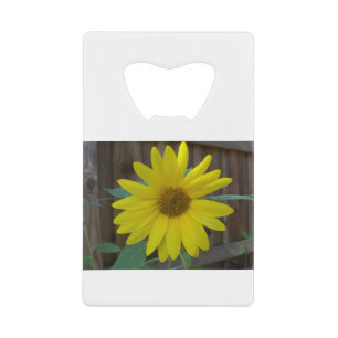 Yellow sunflower