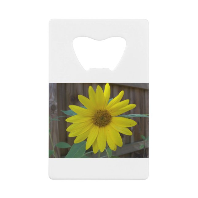 Yellow sunflower (Front)