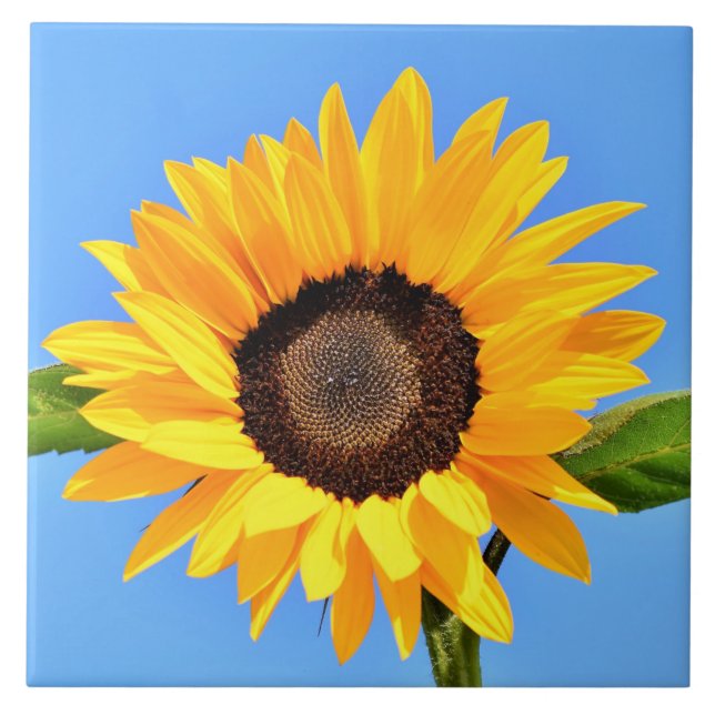Yellow Sunflower Against Sun on Blue Sky - Summer  Ceramic Tile (Front)