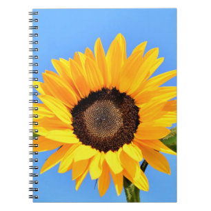 Yellow Sunflower Against Sun on Blue Sky - Summer Notebook