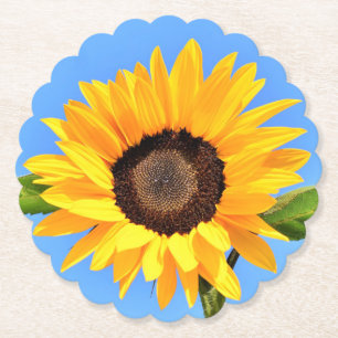Yellow Sunflower Against Sun on Blue Sky - Summer Paper Coaster