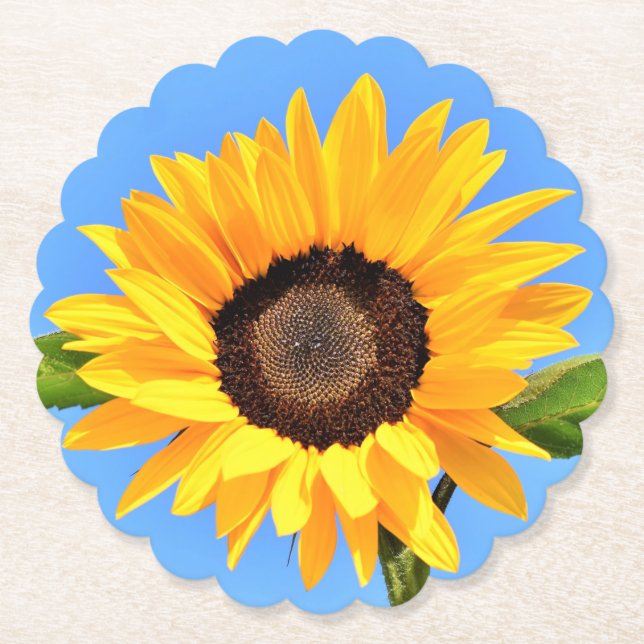 Yellow Sunflower Against Sun on Blue Sky - Summer  Paper Coaster (Front)