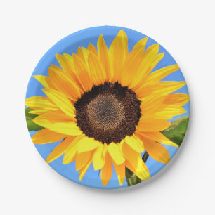 Yellow Sunflower Against Sun on Blue Sky - Summer Paper Plate