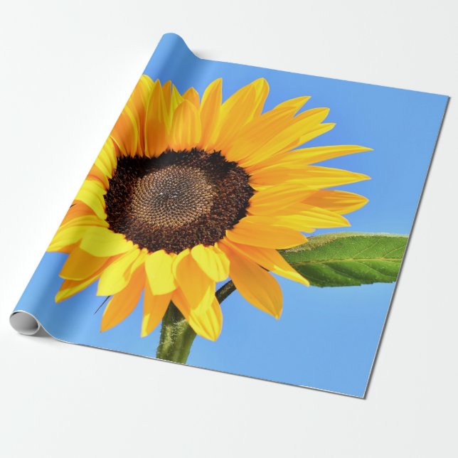 Yellow Sunflower Against Sun on Blue Sky - Summer  Wrapping Paper (Unrolled)