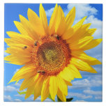 Yellow Sunflower and Bees Ceramic Tile<br><div class="desc">Ceramic Tiles with Yellow Sunflower and Bees on Blue Sky - Summer Day - Photo Flower Nature - You can also personalise - Choose / Add Your Unique Photo - Image / Text - Name / Colour / Font / Size / more - Make Your Special Tile Gift - Resize...</div>