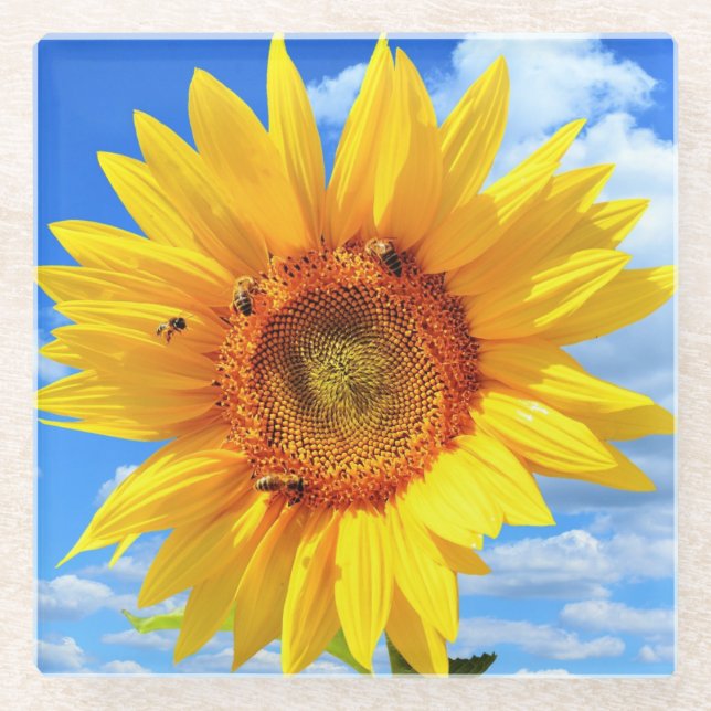 Yellow Sunflower and Bees Glass Coaster Blue Sky (Front)