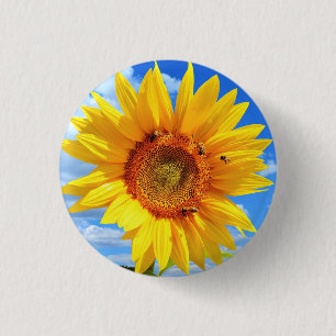 Yellow Sunflower and Bees on Blue Sky Button