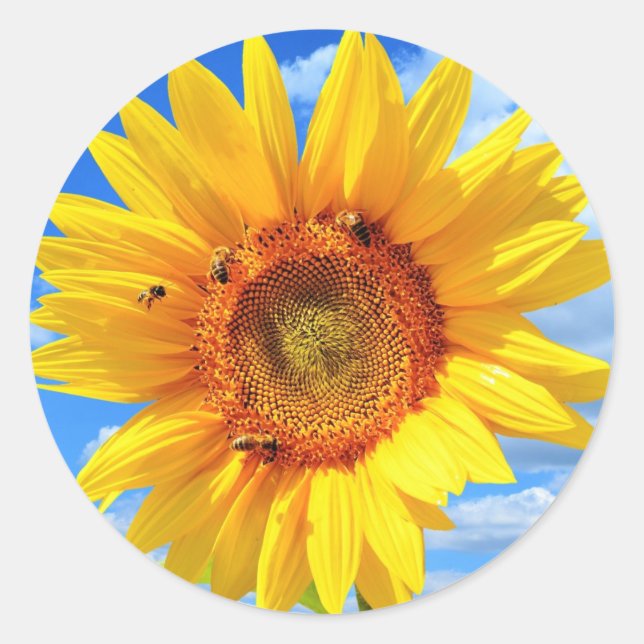 Yellow Sunflower and Bees on Blue Sky - Summer Day Classic Round Sticker (Front)