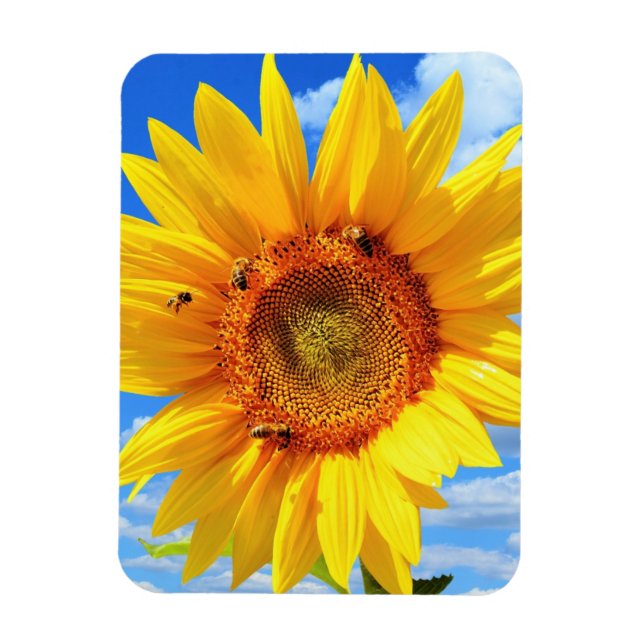 Yellow Sunflower and Bees on Blue Sky - Summer Day Magnet (Vertical)